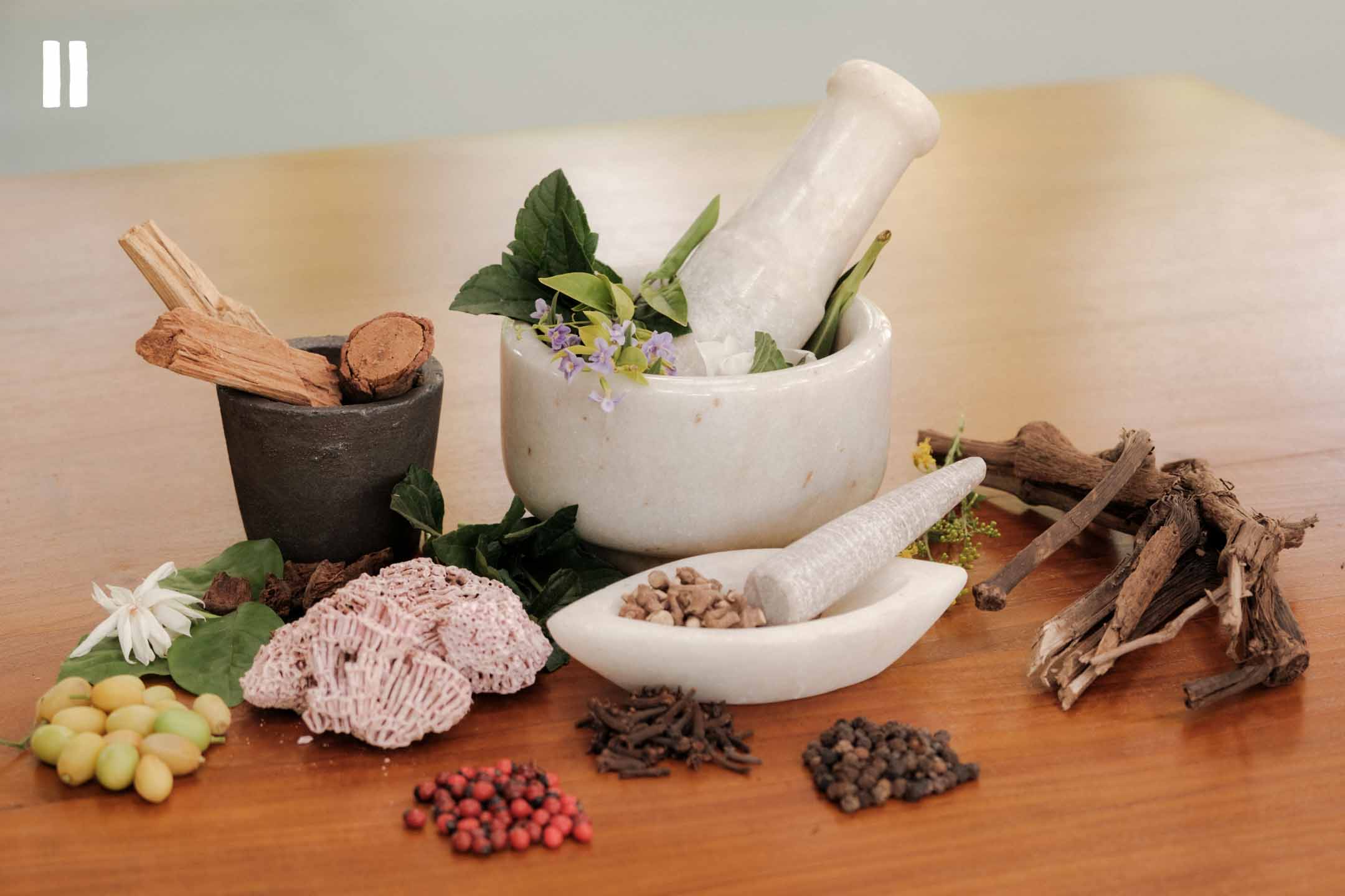 Raga Svara is the Best Ayurveda Therapy Center in India