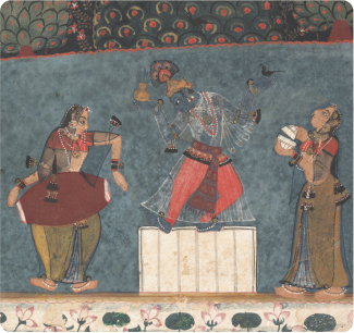 Janmashtami Wellness Journey