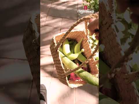 Raga Svara | Raga Philosophy | Wellness Retreats